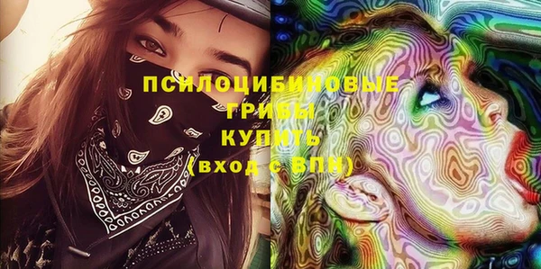 ешки Нефтегорск