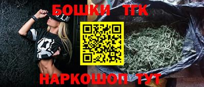 индика Ирбит