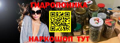 индика Ирбит