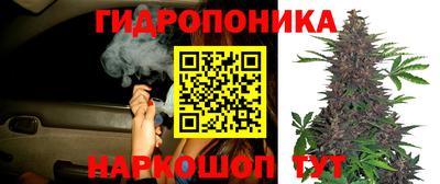 дмт Ипатово