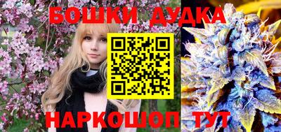 индика Ирбит
