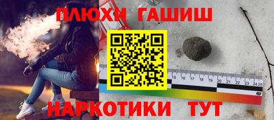 индика Ирбит