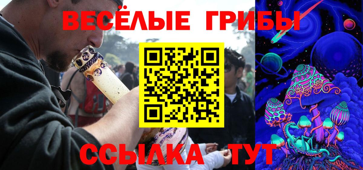 Галлюциногенные грибы прущие грибы Клинцы