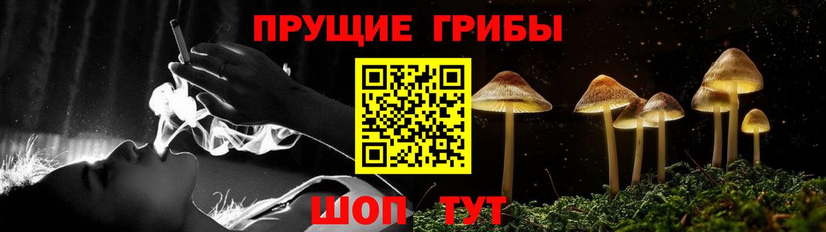 Клинцы  Псилоцибиновые грибы Psilocybe  Вход с VPN 